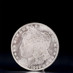 USA Morgan Dollar 1899 Coin