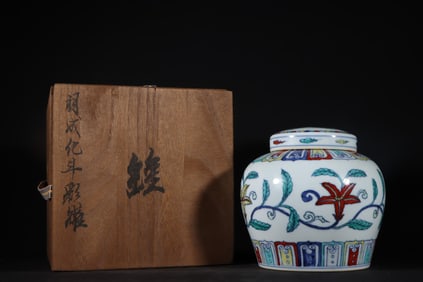 An Exquisite Doucai Lotus Pattern Jar