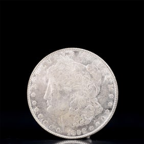 USA Morgan Dollar 1899 Coin
