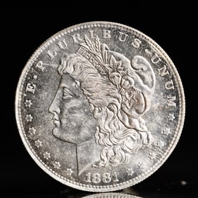 USA Morgan Dollar 1881 Coin
