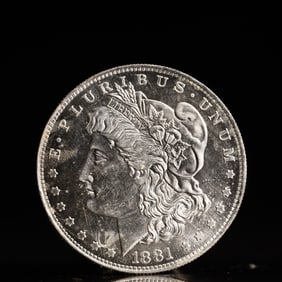 USA Morgan Dollar 1881 Coin
