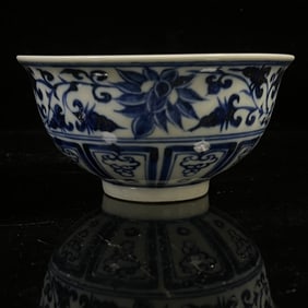 An Exquisite Blue and White Lotus Pattern Bowl