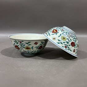 A Pair of Exquisite Doucai Flower and Butterfly Pattern Bowls