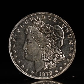 USA Morgan Dollar 1878 Coin