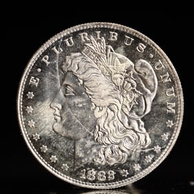 USA Morgan Dollar 1882 Coin