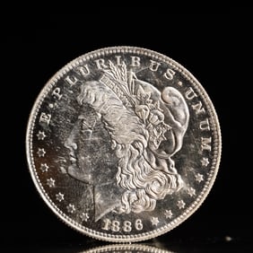 USA Morgan Dollar 1886 Coin