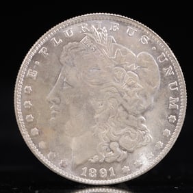 USA Morgan Dollar 1891 Coin