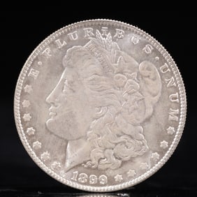 USA Morgan Dollar 1899 Coin