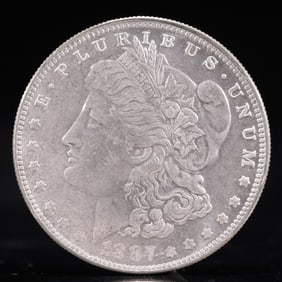 USA Morgan Dollar 1887 Coin