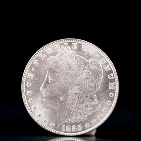 USA Morgan Dollar 1885 Coin