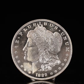 USA Morgan Dollar 1889 Coin
