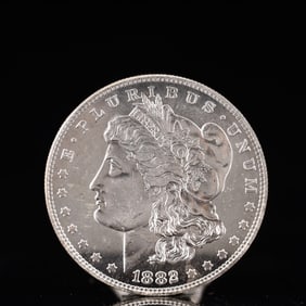 USA Morgan Dollar 1882 Coin