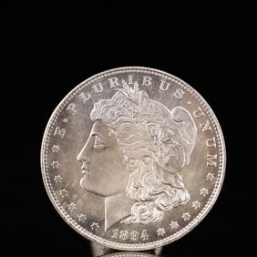 USA Morgan Dollar 1894 Coin