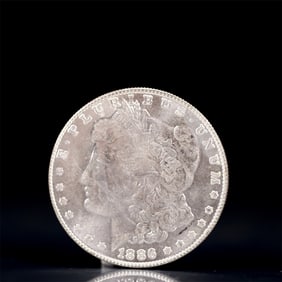 USA Morgan Dollar 1886 Coin