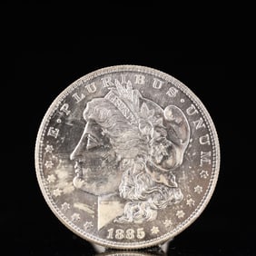 USA Morgan Dollar 1885 Coin