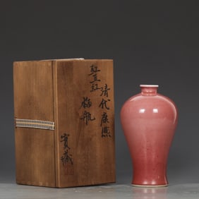 An Exquisite PeachBloom-Glazed Vase