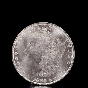 USA Morgan Dollar 1880 Coin