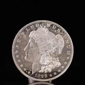 USA Morgan Dollar 1893 Coin