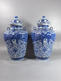 A pair of Exquisite Blue and White Lotus Flower Pattern Jar