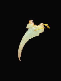 A Rare Gaogu Jade Tooth-shaped Handheld