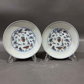 A Pair of Exquisite Doucai Flower and Butterfly Pattern Plates
