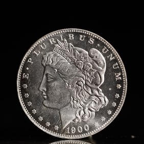 USA Morgan Dollar 1900 Coin