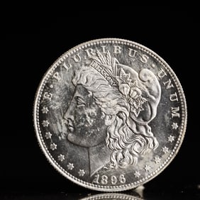 USA Morgan Dollar 1896 Coin