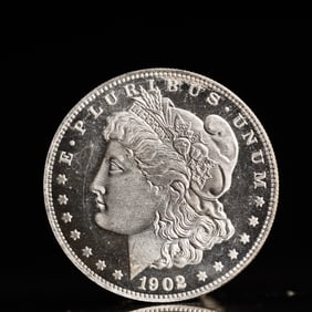 USA Morgan Dollar 1902 Coin
