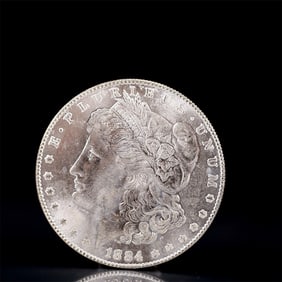 USA Morgan Dollar 1884 Coin