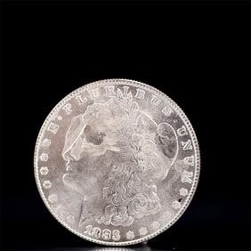 USA Morgan Dollar 1883 Coin