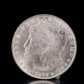 USA Morgan Dollar 1879 Coin