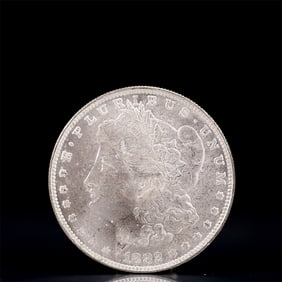 USA Morgan Dollar 1882 Coin