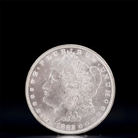 USA Morgan Dollar 1882 Coin