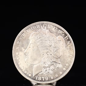 USA Morgan Dollar 1879 Coin