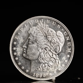 USA Morgan Dollar 1895 Coin