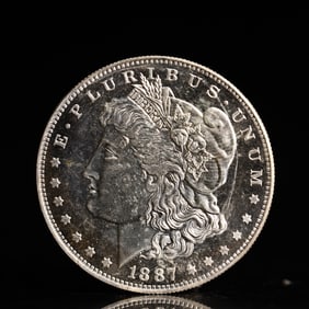 USA Morgan Dollar 1887 Coin