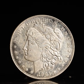 USA Morgan Dollar 1921 Coin