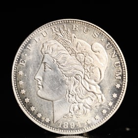 USA Morgan Dollar 1894 Coin