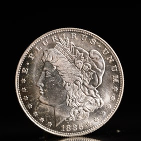 USA Morgan Dollar 1885 Coin