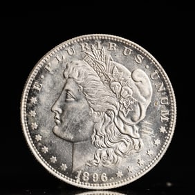 USA Morgan Dollar 1896 Coin