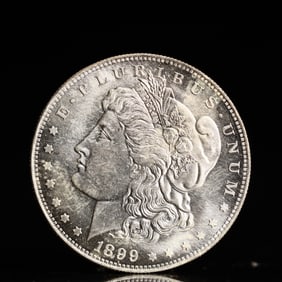 USA Morgan Dollar 1899 Coin