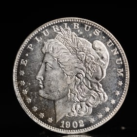 USA Morgan Dollar 1902 Coin