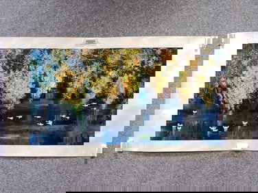 An Fabulous Chinese Ink Flower and Bird By Paper