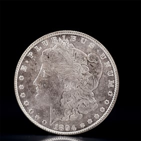 USA Morgan Dollar 1894 Coin