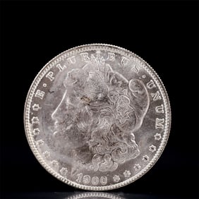 USA Morgan Dollar 1900 Coin