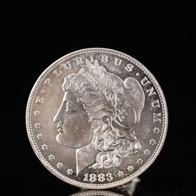USA Morgan Dollar 1883 Coin