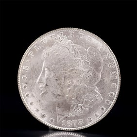 USA Morgan Dollar 1878 Coin