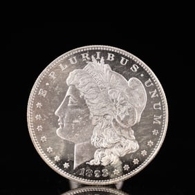 USA Morgan Dollar 1893 Coin