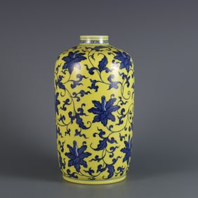 An Exquisite Blue and White Lotus Pattern Jar