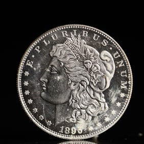 USA Morgan Dollar 1895 Coin